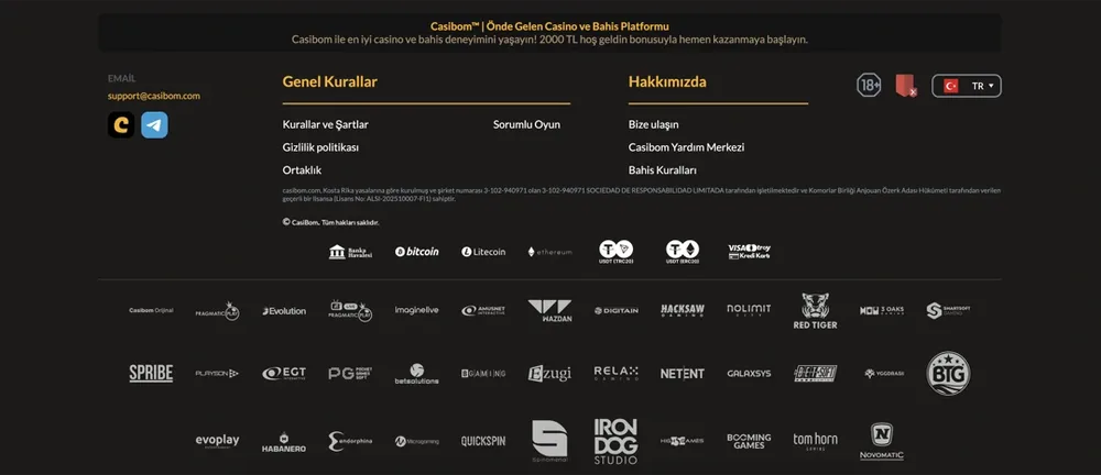 casibom güncel adres